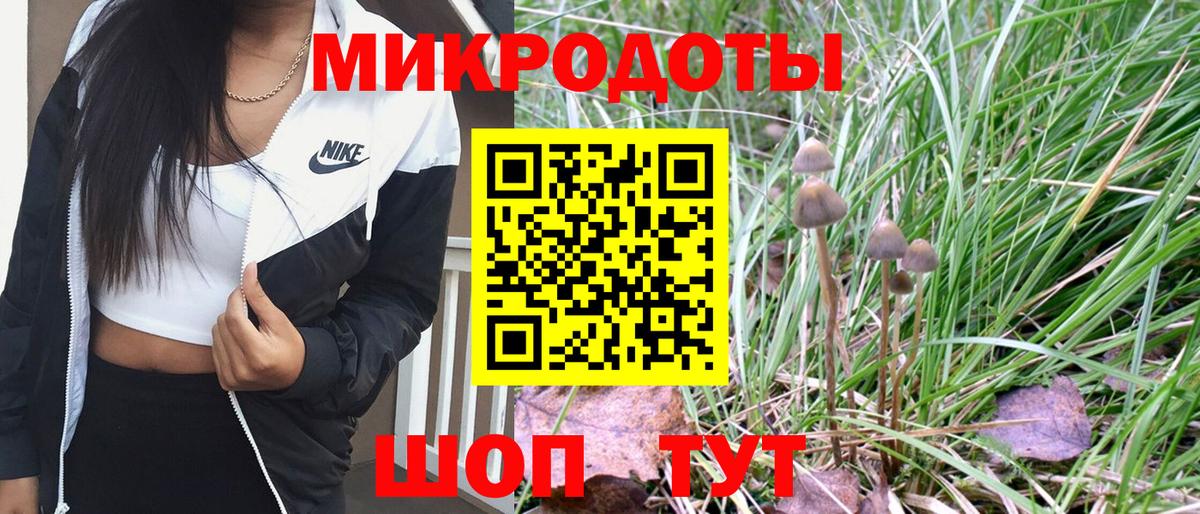 Галлюциногенные грибы мухоморы  дарнет шоп  Псилоцибиновые грибы ЛСД  Строитель  Вход с VPN 