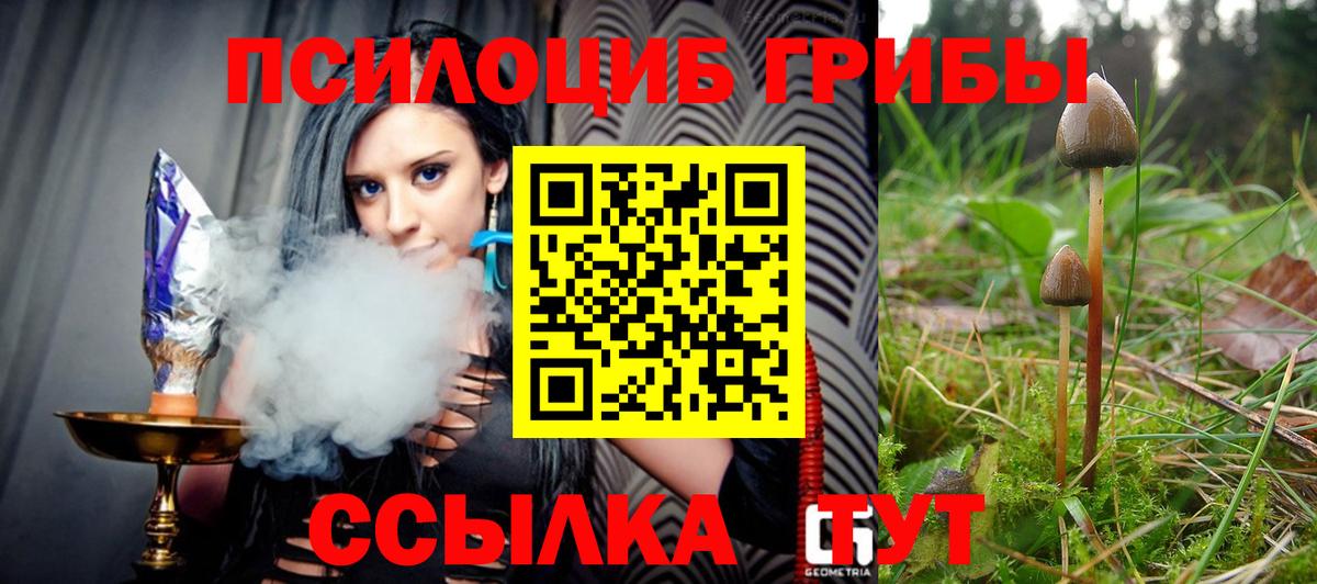 Псилоцибиновые грибы GOLDEN TEACHER Строитель